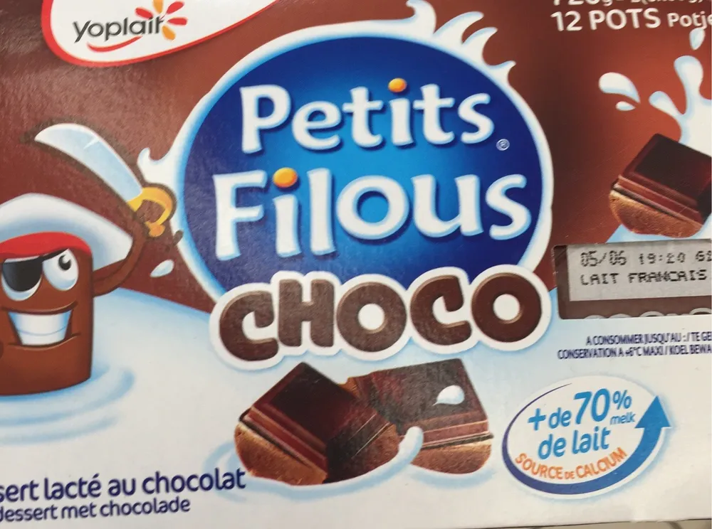 DESSERT PETITS FILOUS CHOCO 60GX12