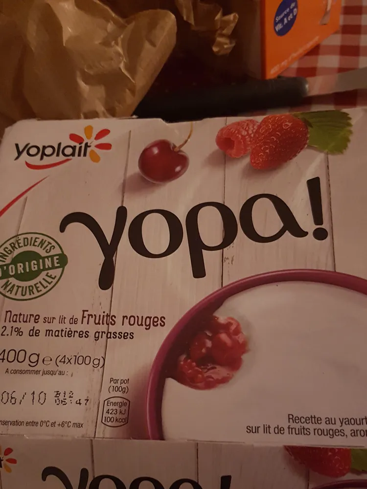 Recette au yaourt nature, sur lit de fruits rouges