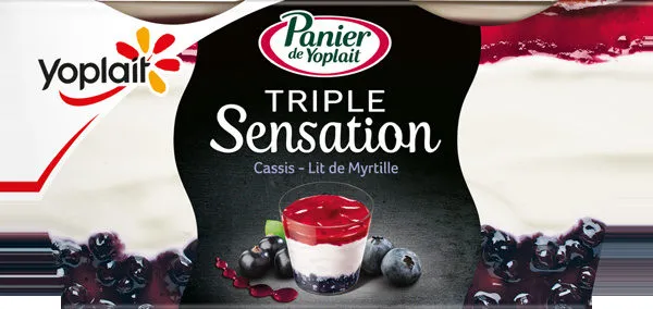 Dessert lacté aux fruits, aromatisé