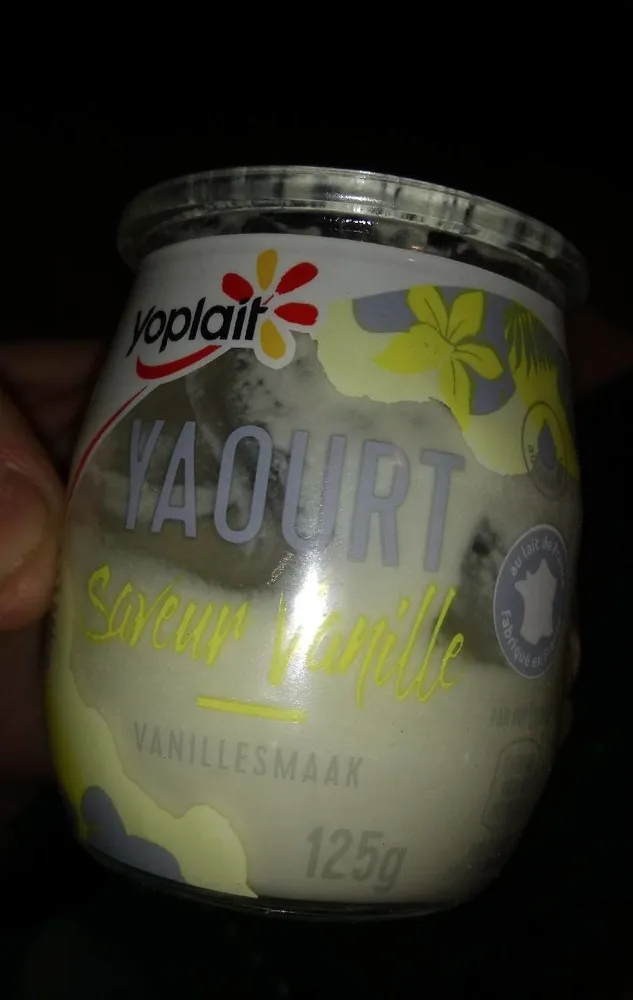Yaourt saveur vanille