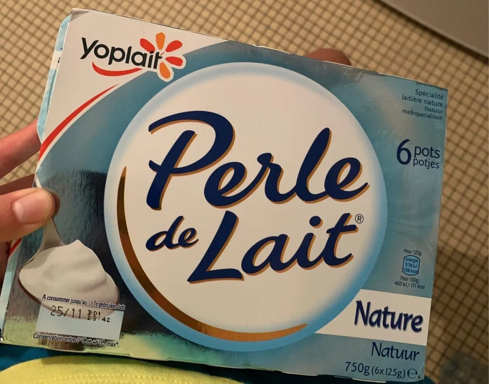 Spécialité laitière nature