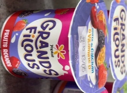 Grands filous