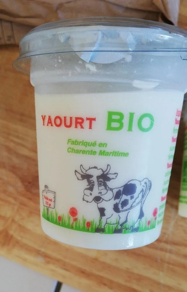 Yaourt vanille bio