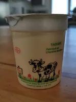 Yaourt à la vanille