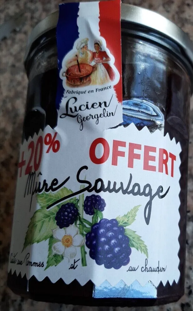 confiture de mûres sauvage