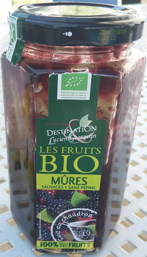 Les fruits Bio Mûres
