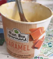 Creme glacee au caramel Mon Bio Gourmand