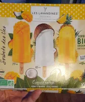 Sorbet des îles (sorbet bio oragnic)