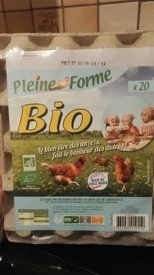 Œufs pleine forme bio