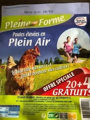 Poules élevées en plein air