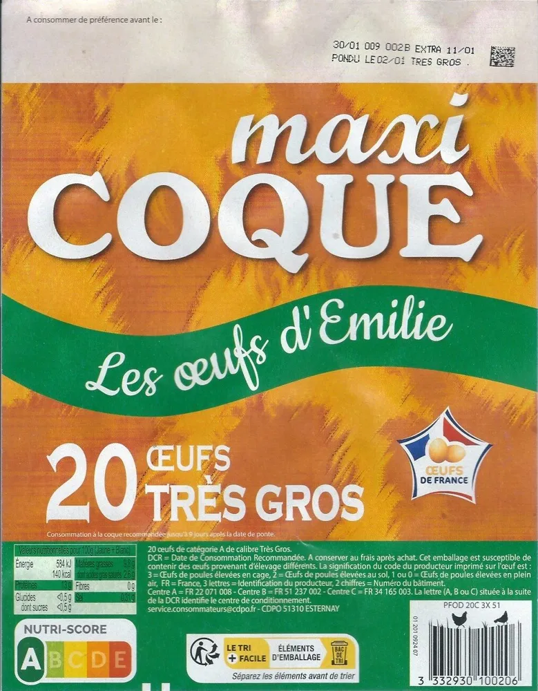 20 Œufs très Gros