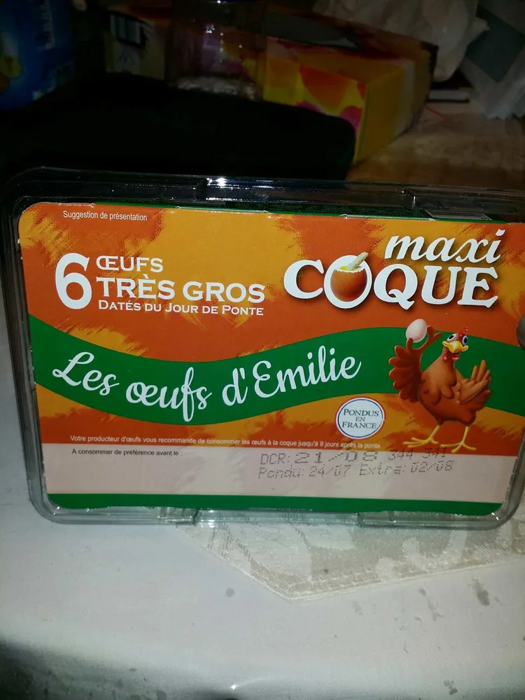 6 Très Gros oeufs Maxi Coque