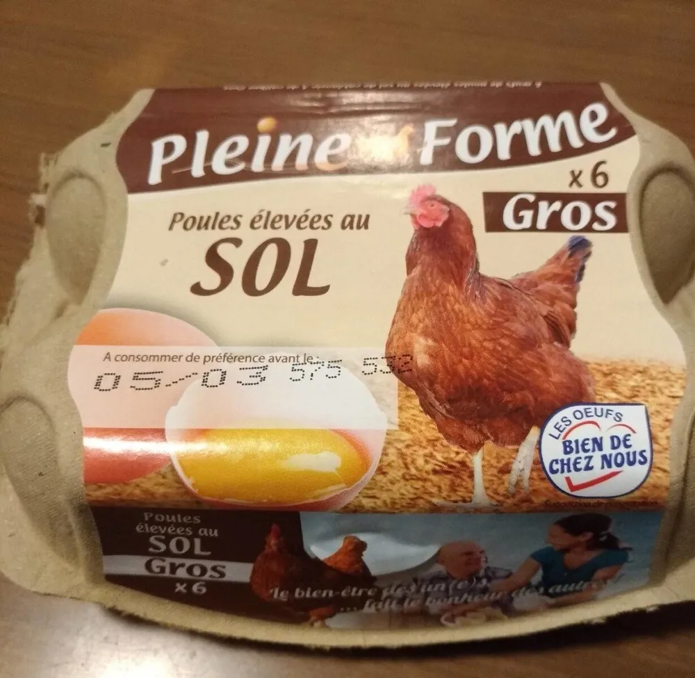 Oeufs Gros Pleine Forme