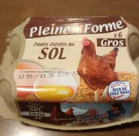 Oeufs Gros Pleine Forme