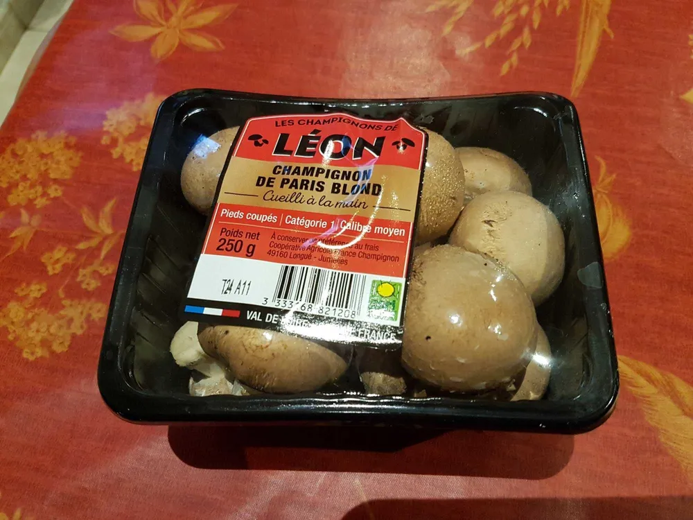 Champignon de Paris Blond