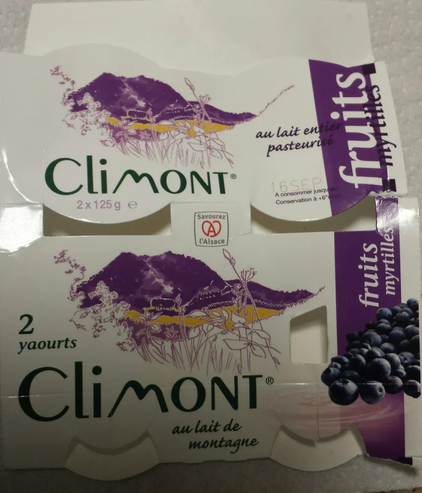Yaourt aux fruits myrtilles