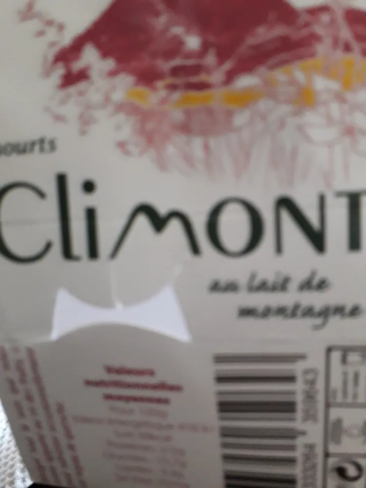 Yaourts aux quetsches