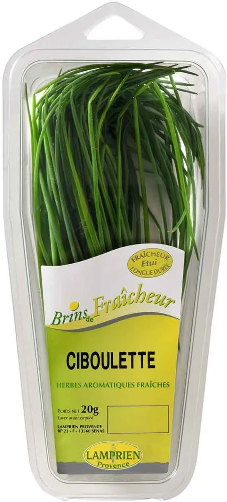 Ciboulette