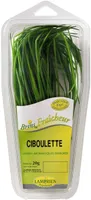 Ciboulette