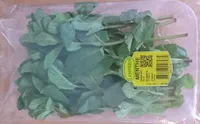 Menthe