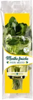 Menthe fraîche pour Mojito