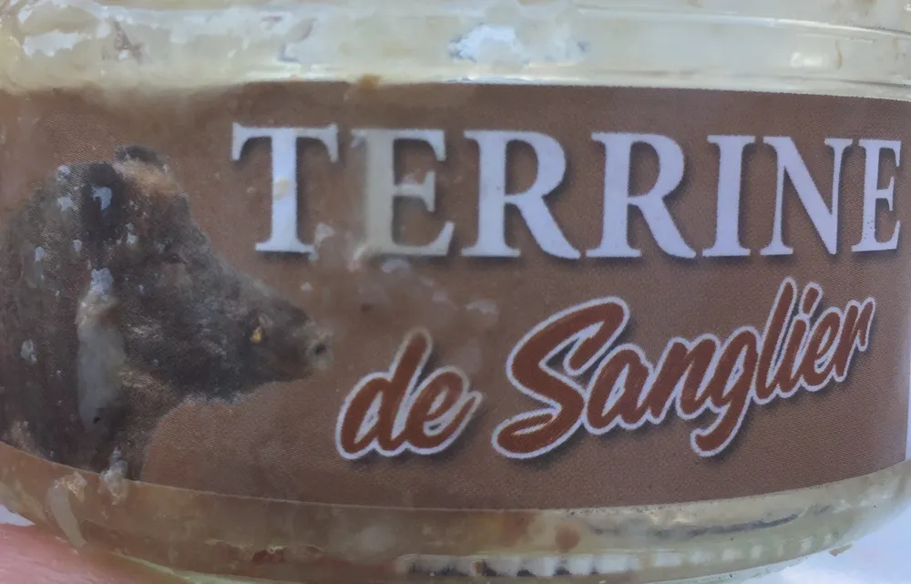 Terrine de Sanglier