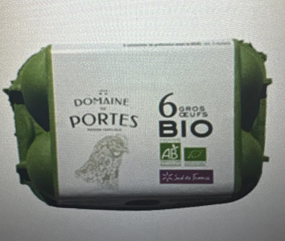 6 GROS OEUFS BIO