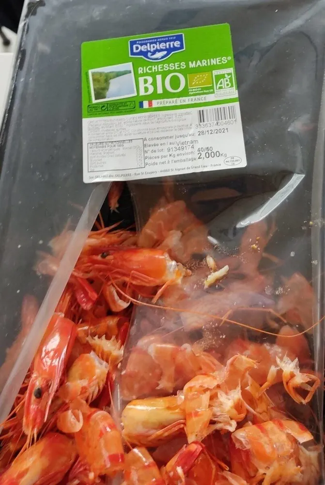 Richesses marines bio