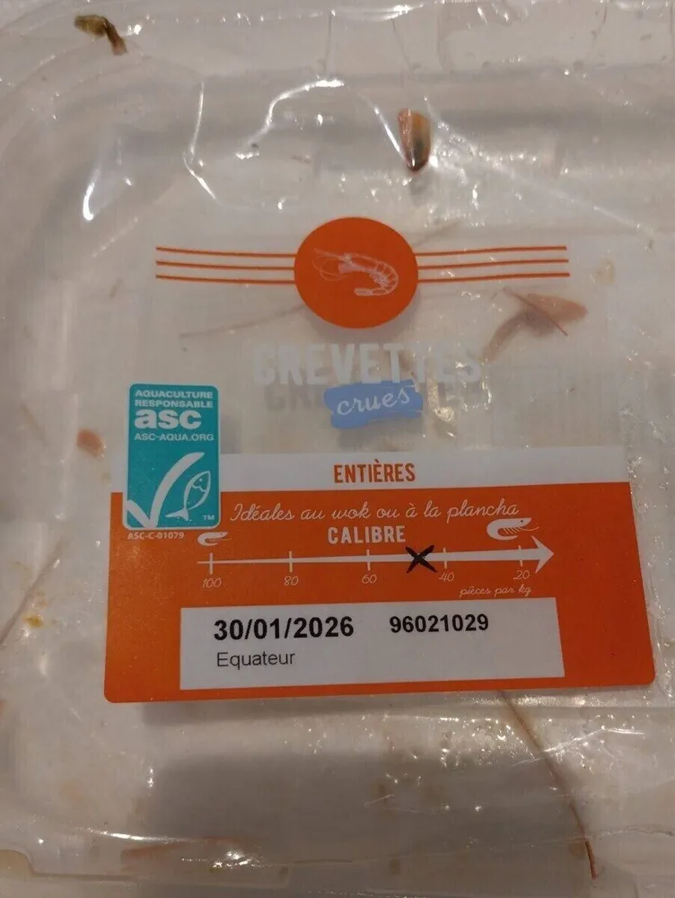 Crevettes crues