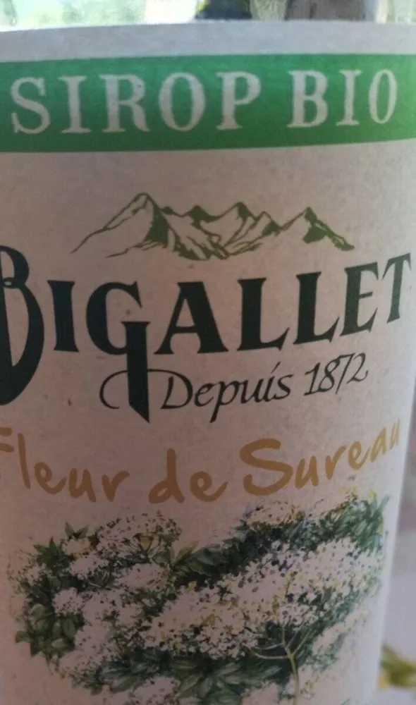 Sirop bio - Fleur de sureau