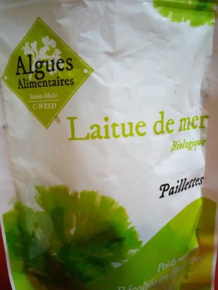 Laitue de mer