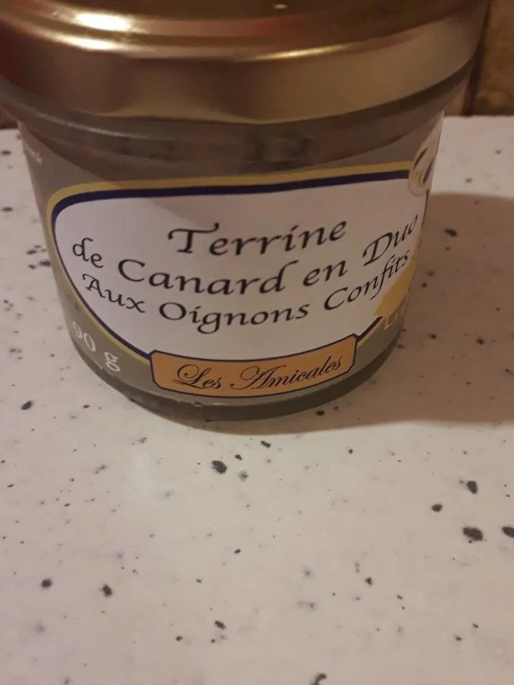 Terrine de canard en duo aux oignons confits