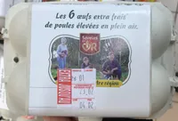 Oeufs extra frais de poules élevées en plein air