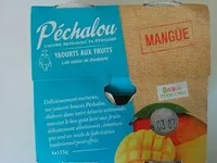 Mangue