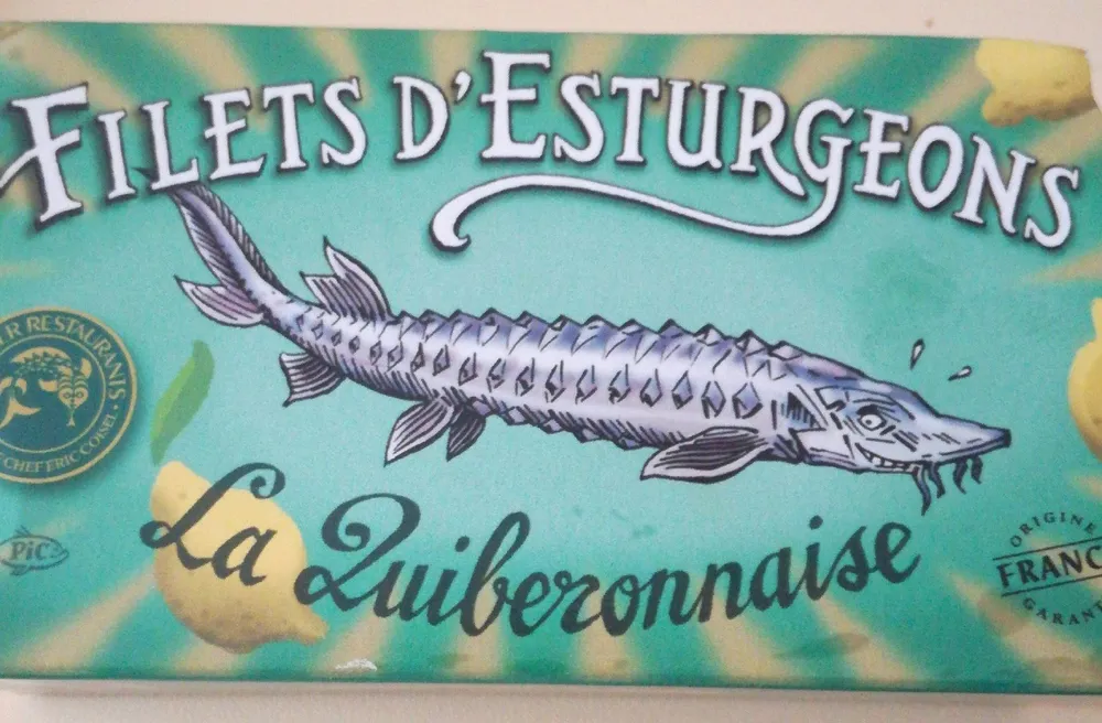 Filet d esturgeon