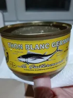 Thon blanc germon