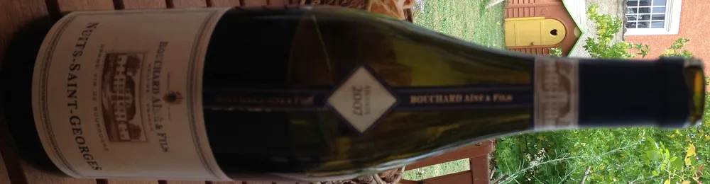 Nuits-Saint-Georges 2007