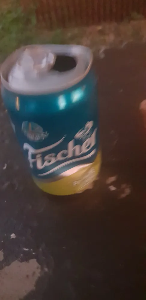 fisher panache