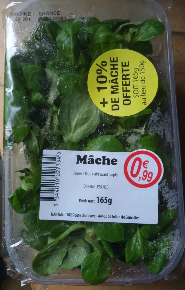 Mâche