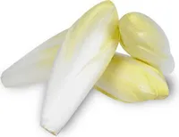 ENDIVE Endive