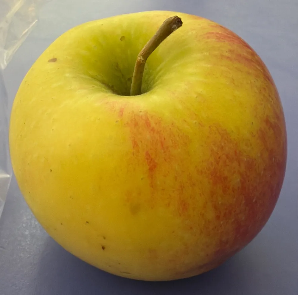 Pomme
