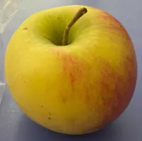 Pomme