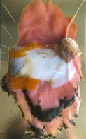 Assiette nordique