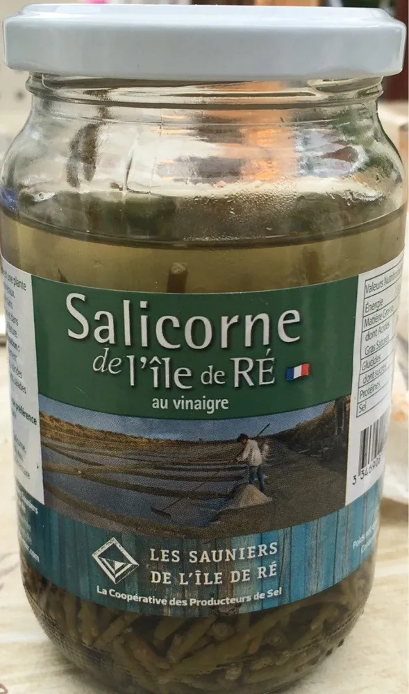 Salicorne de l'île de Ré