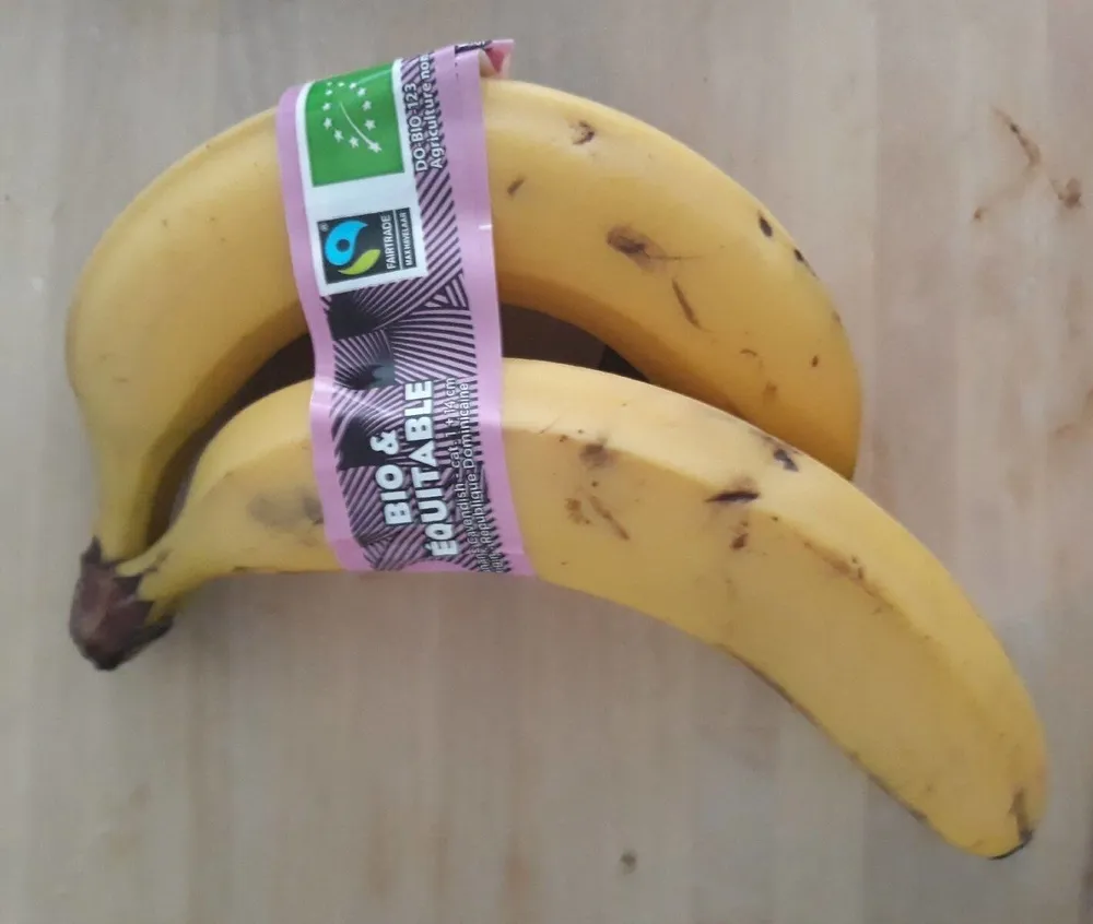 Bananes Cavendish