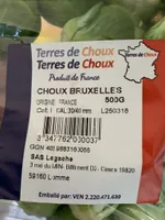 Chou de Bruxelles