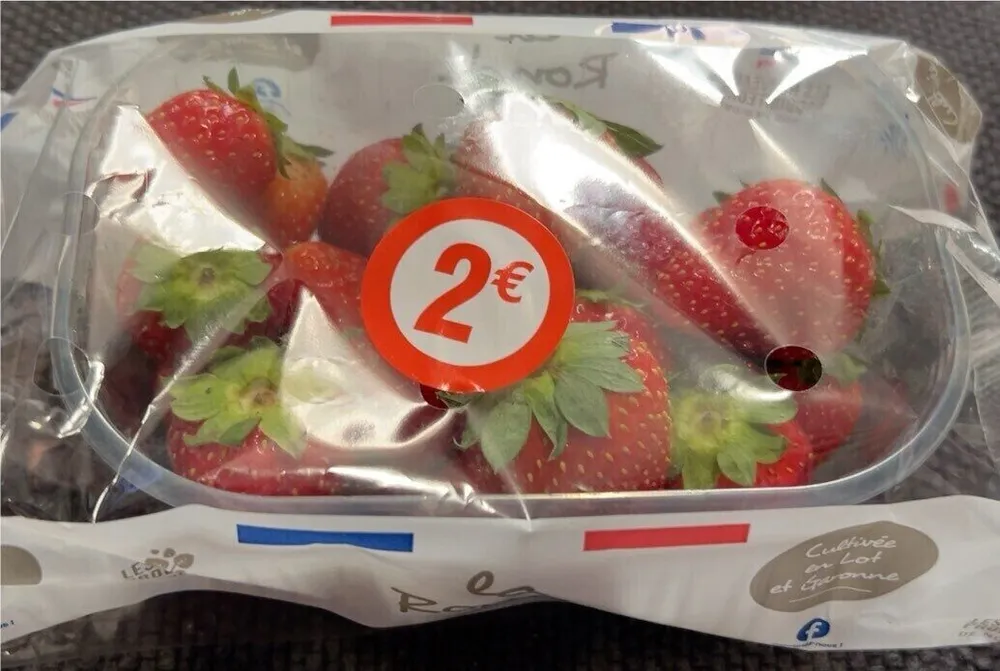 Fraise « La ronde€