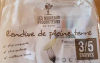 Endives de pleine terre