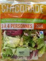 Chicorade Scarole, Frisée, Chicorée Rouge