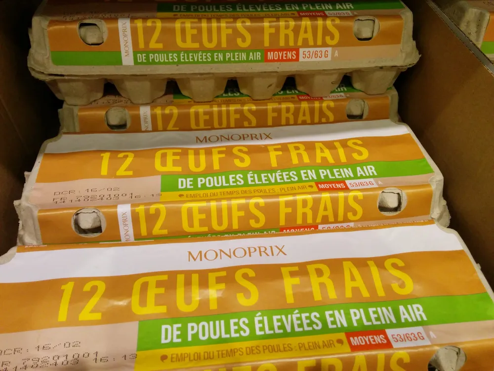 Œufs frais de poules élevées en plein air